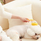 🐾Pet Bath Brush with Long Handle & Shampoo Dispenser🛁